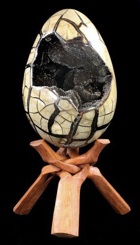 Septarian Dragon Egg Geode - Black Crystals #37283